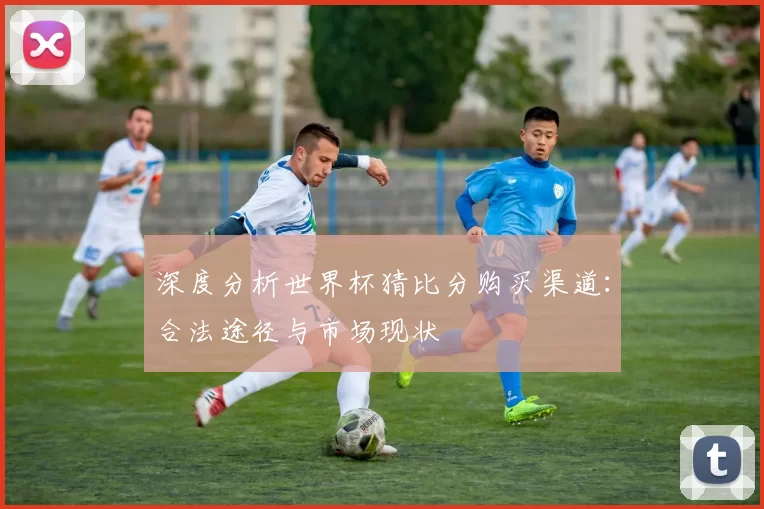深度分析世界杯猜比分购买渠道:合法途径与市场现状