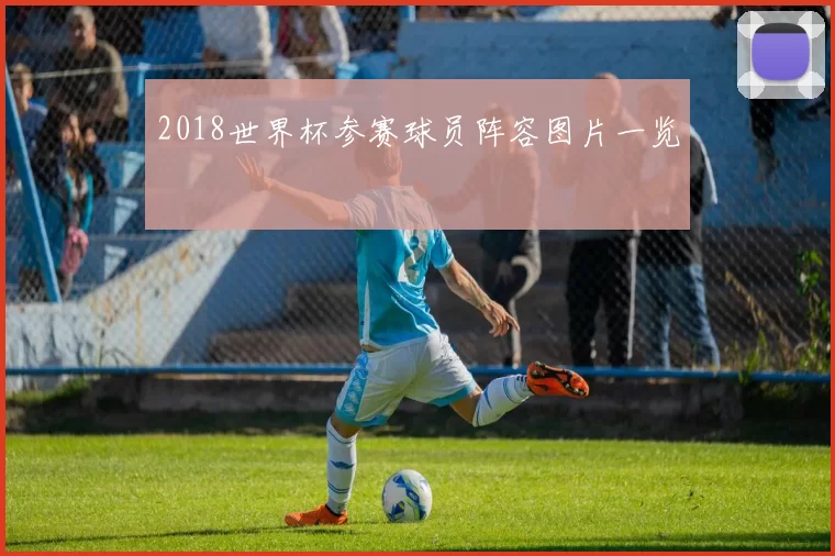 2018世界杯参赛球员阵容图片一览