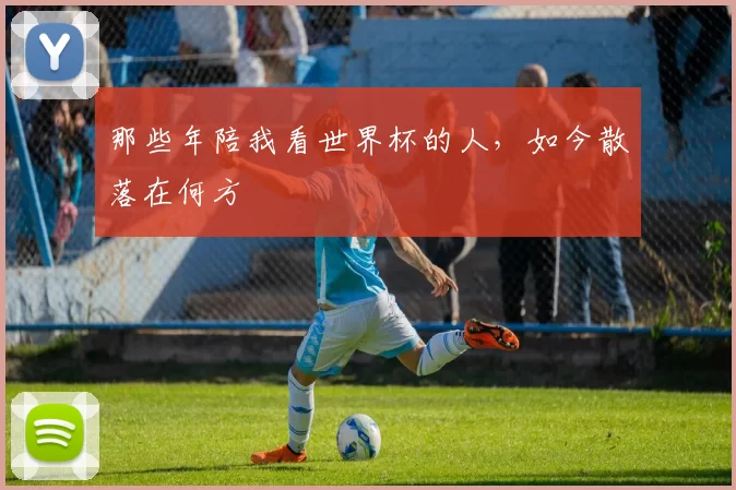 那些年陪我看世界杯的人,如今散落在何方