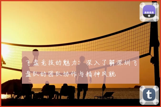 飞盘竞技的魅力:深入了解深圳飞盘队的团队协作与精神风貌