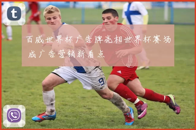 百威世界杯广告牌亮相世界杯赛场 成广告营销新看点