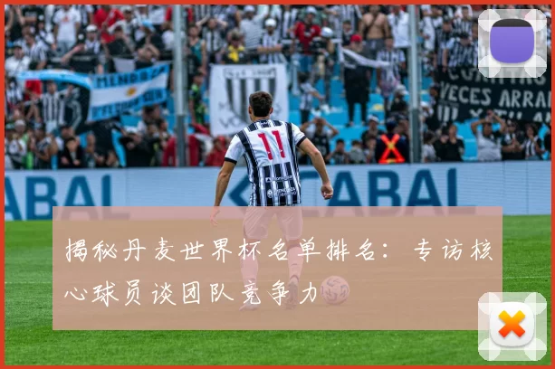 揭秘丹麦世界杯名单排名:专访核心球员谈团队竞争力