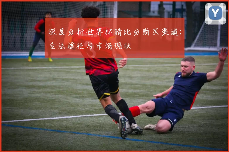 深度分析世界杯猜比分购买渠道:合法途径与市场现状