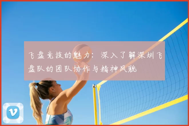 飞盘竞技的魅力:深入了解深圳飞盘队的团队协作与精神风貌