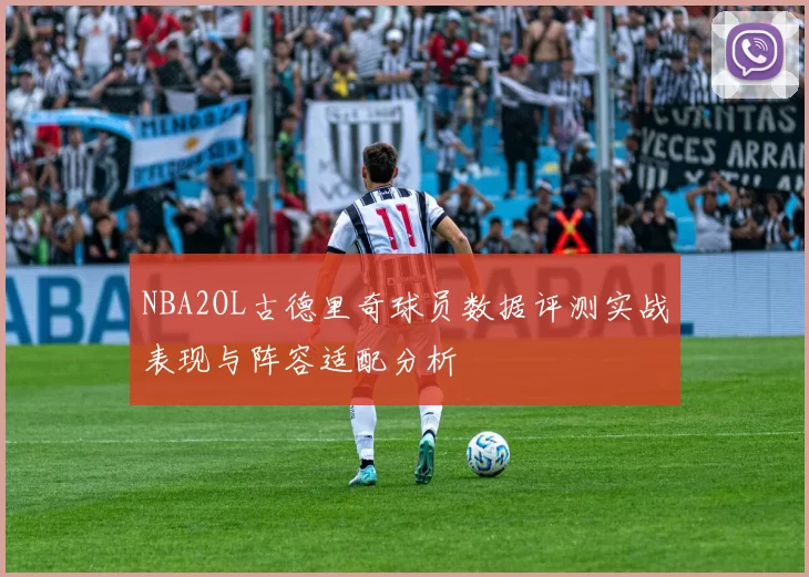 NBA2OL古德里奇球员数据评测实战表现与阵容适配分析