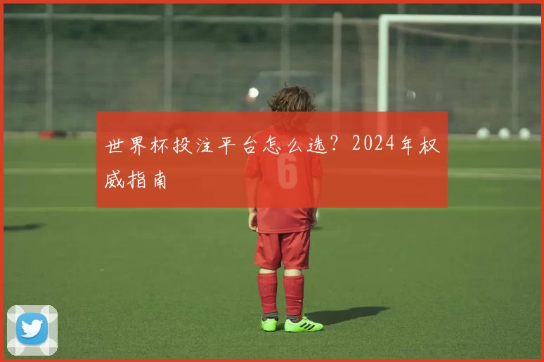 世界杯投注平台怎么选？2024年权威指南