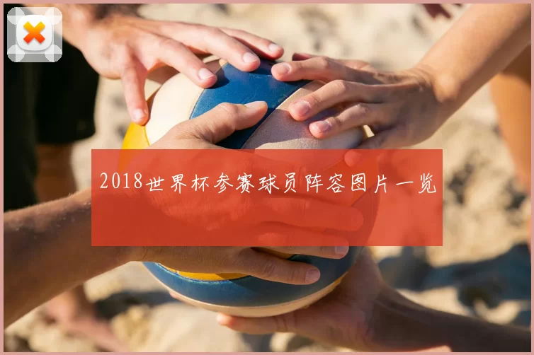 2018世界杯参赛球员阵容图片一览