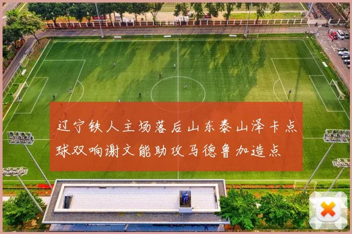 辽宁铁人主场落后山东泰山泽卡点球双响谢文能助攻马德鲁加造点